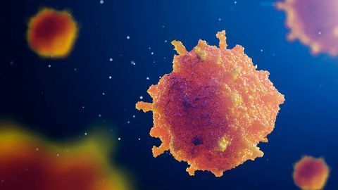 Cell Signaling Insight Helps the Hunt for Effective Anticancer Drugs