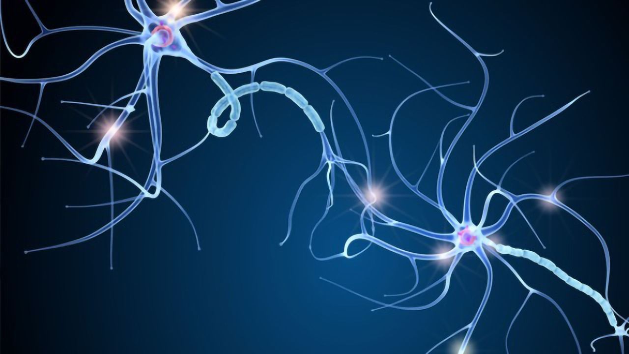 Lowering the Levels of Key Protein Might Be a Novel Way To Treat MS
