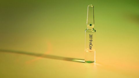Washington University COVID-19 Vaccine Effective in Mice