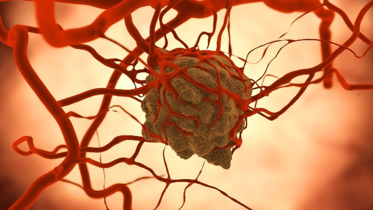 The Microbiome’s Role in Attacking Cancerous Tumors
