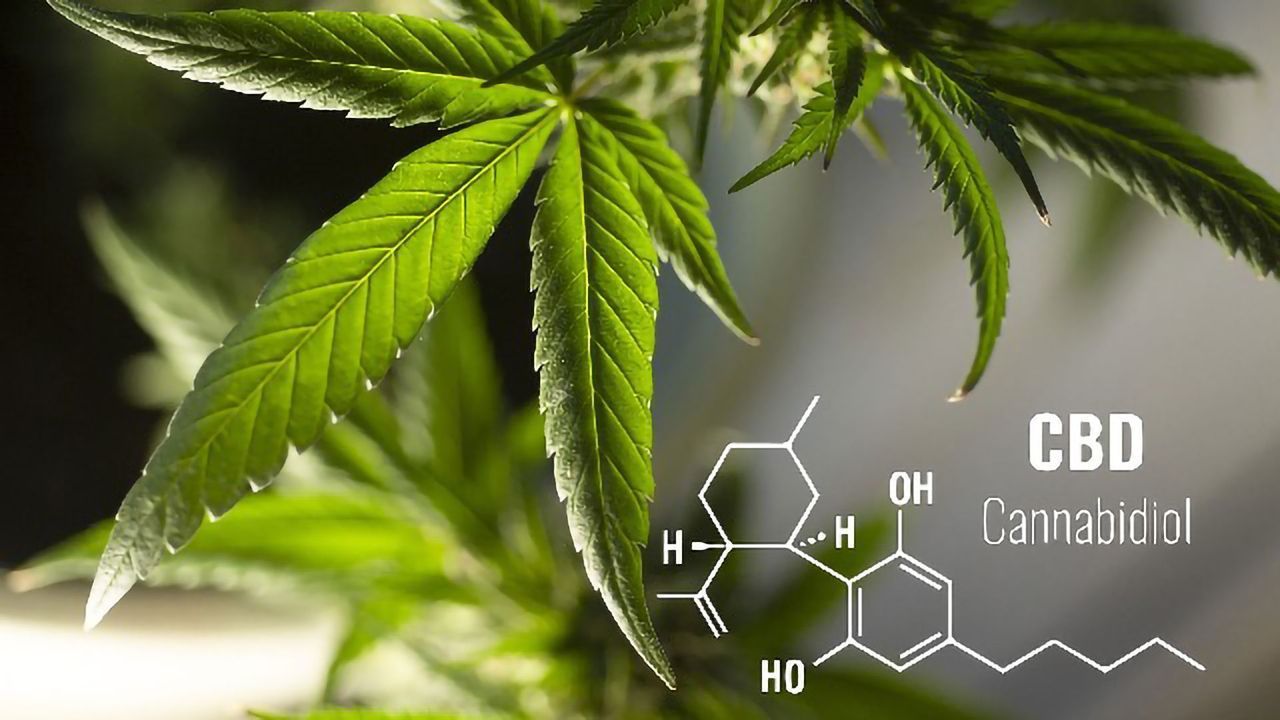 Cannabidiol Significantly Improves Blood Flow to Brain’s Hippocampus, New Findings Show