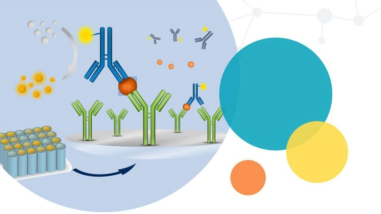 Streamlined Absorbance Assays for Nucleic Acid and Protein Quantitation