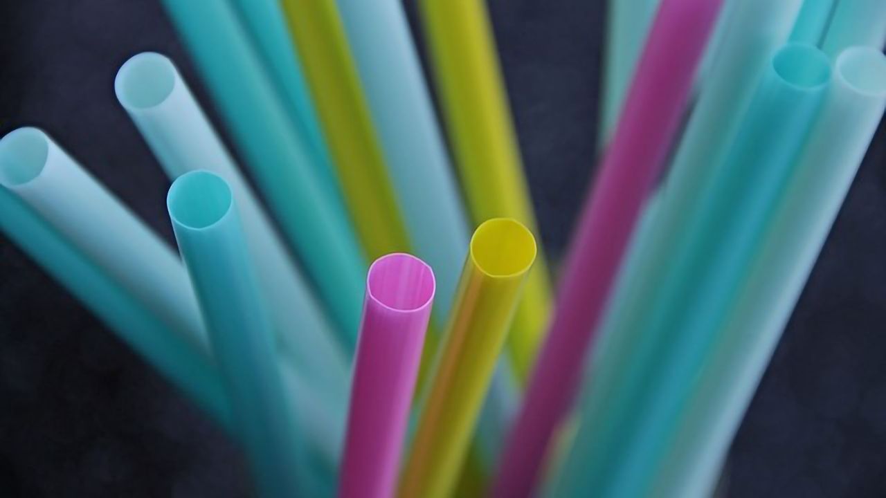 Microplastics Found in Every Human Tissue Studied