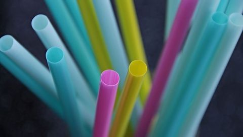 Microplastics Found in Every Human Tissue Studied