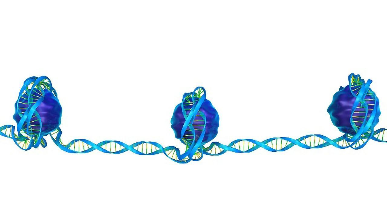 DNA Methylation Linked to Reduced Risk of PTSD