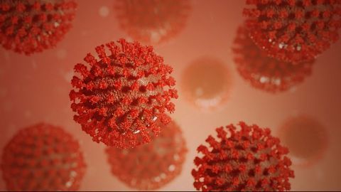 Low-Cost, Accurate COVID-19 Antibody Detection Platform Developed