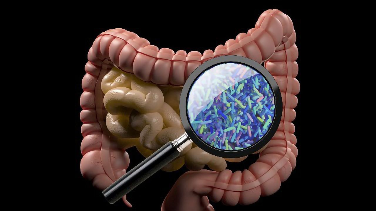 Link Between Gut Microbiome and Cancer Treatment Outcomes