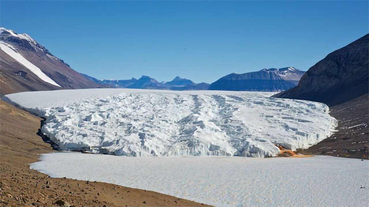 Ancient Genes Protect Algae in Extreme Environments