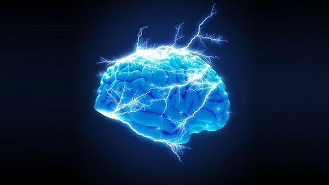 Neuroscientists Delineated Social Decision-Making in the Human Brain