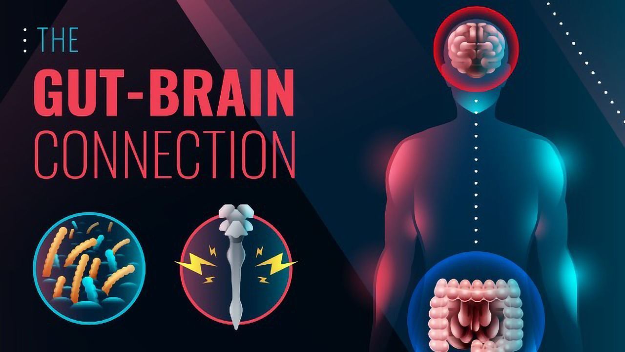The Gut-Brain Connection