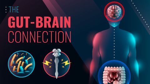 The Gut-Brain Connection