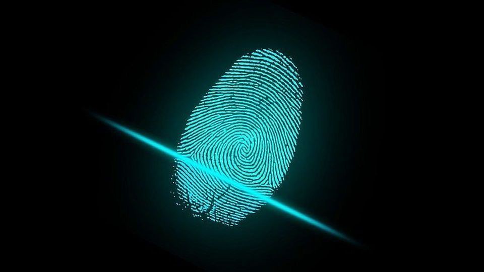 Viral Composition in Our Gut Is as Unique as a Fingerprint content piece image