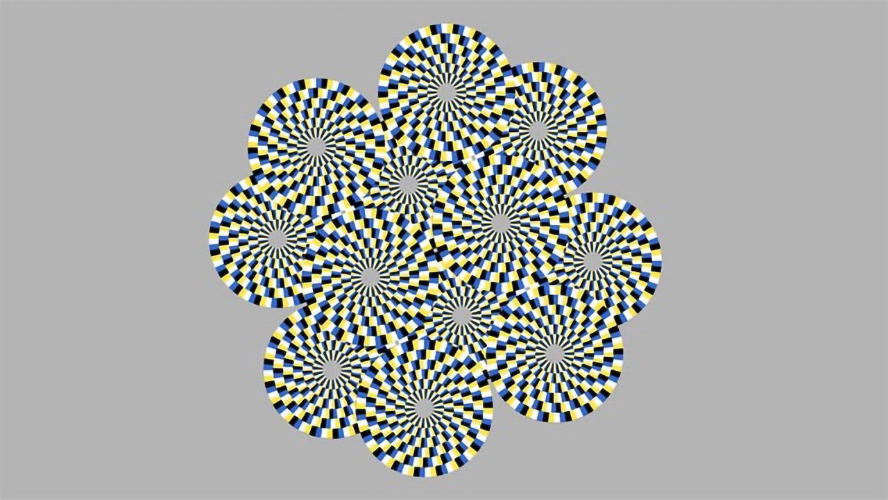 Why Optical Illusions Trick Both Flies and Humans