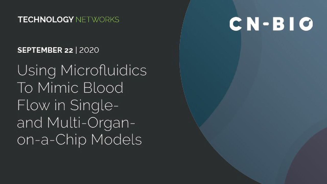 The Rhythm of Life: Using Microfluidics To Mimic Blood Flow in Single- and Multi-Organ-on-a-Chip Models