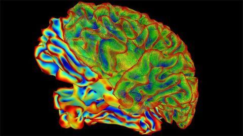 Rainbow Brain Rainbow Brain