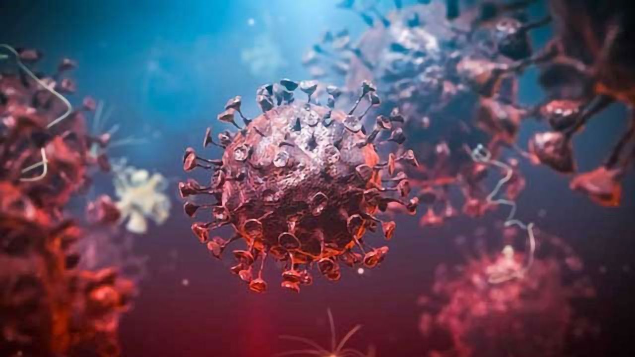 Making Headway in the Quest for COVID-19 Cell Therapies