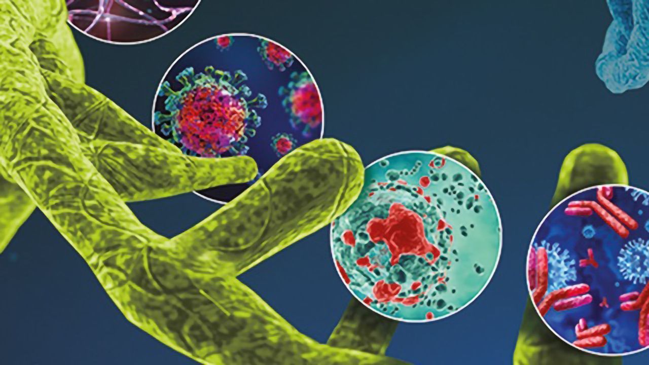 Visualize ASO, miRNA, or siRNA with miRNAscope™