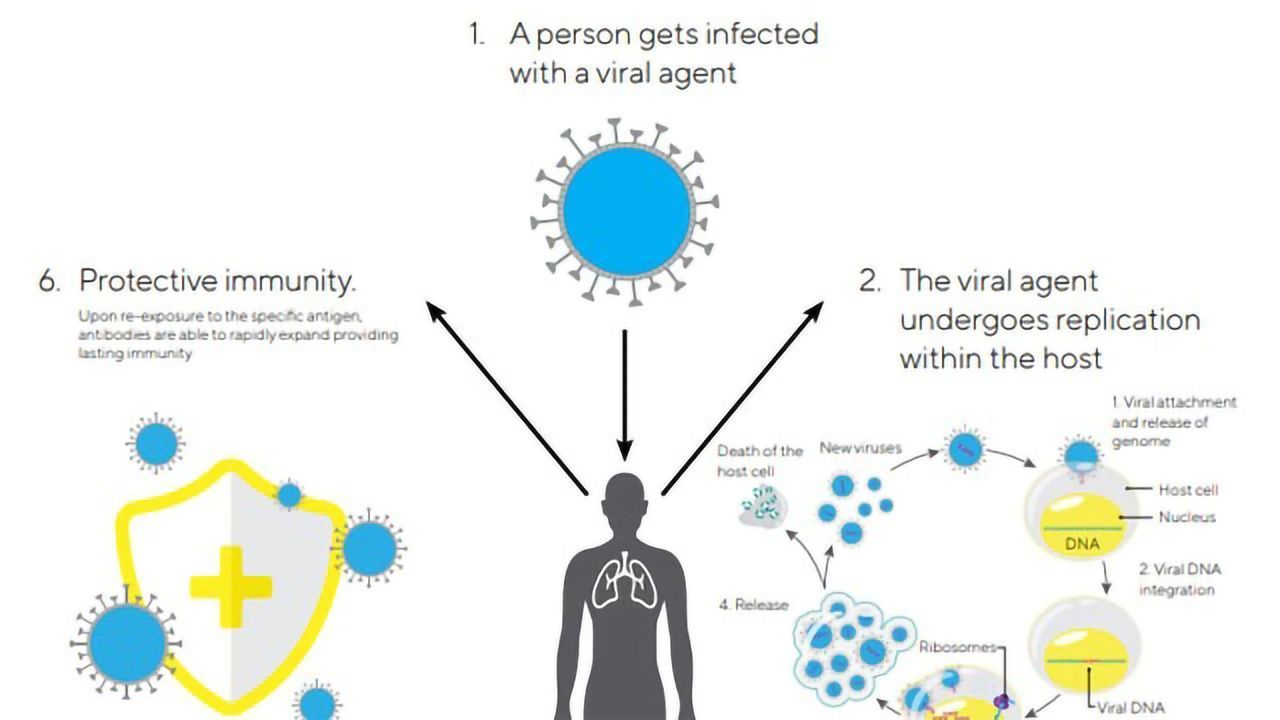 Evaluating Viral Pathogens Across the Entire Host–Pathogen Life Cycle
