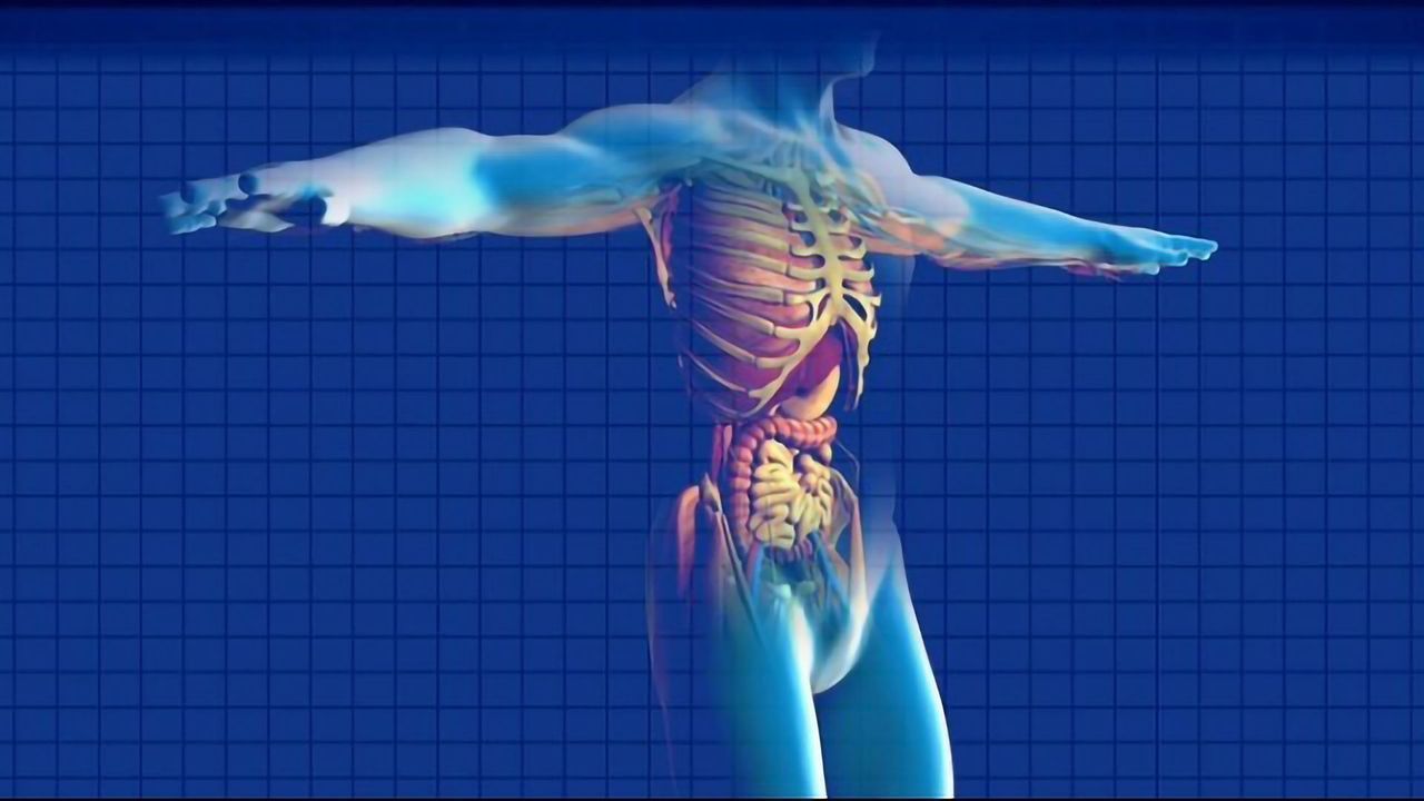Detecting Pancreatic Cancer at Treatable Stages