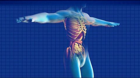 Detecting Pancreatic Cancer at Treatable Stages
