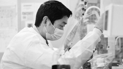 Barcoding Tool Quantifies Mutations Caused by CRISPR/Cas9