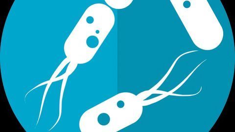 Mass Spec-Based Approach Measures Microbiomes in Nature