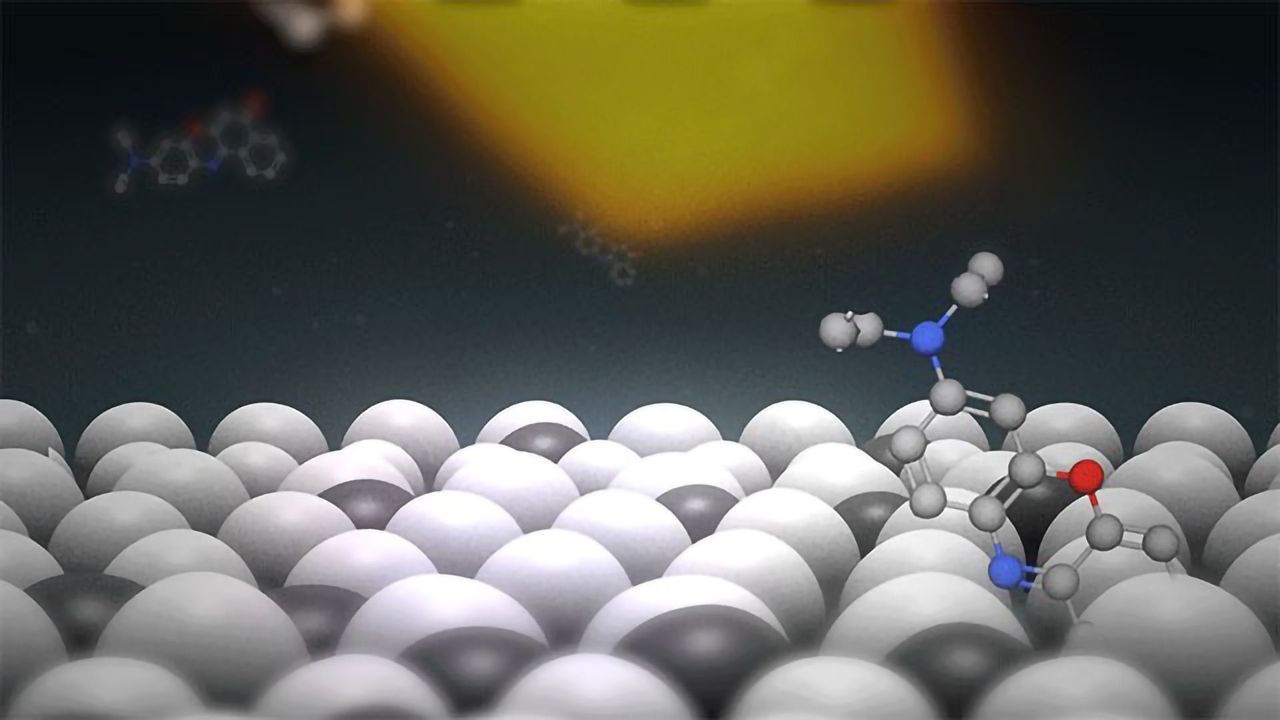 Using Light’s Properties To See Inside a Cell Membrane