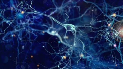 Seizures During Menstrual Cycle Linked to Drug-Resistant Epilepsy