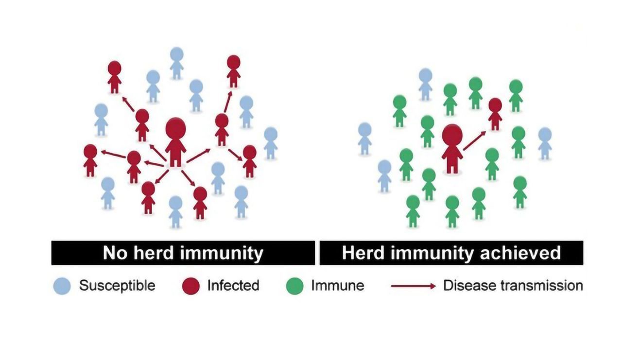 Herd Immunity Is a Dangerous Strategy for Tackling COVID-19