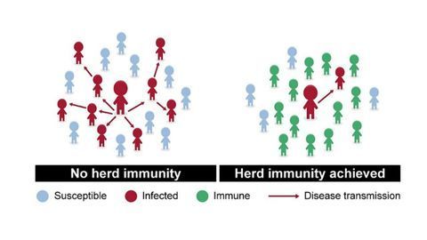 Herd Immunity Is a Dangerous Strategy for Tackling COVID-19