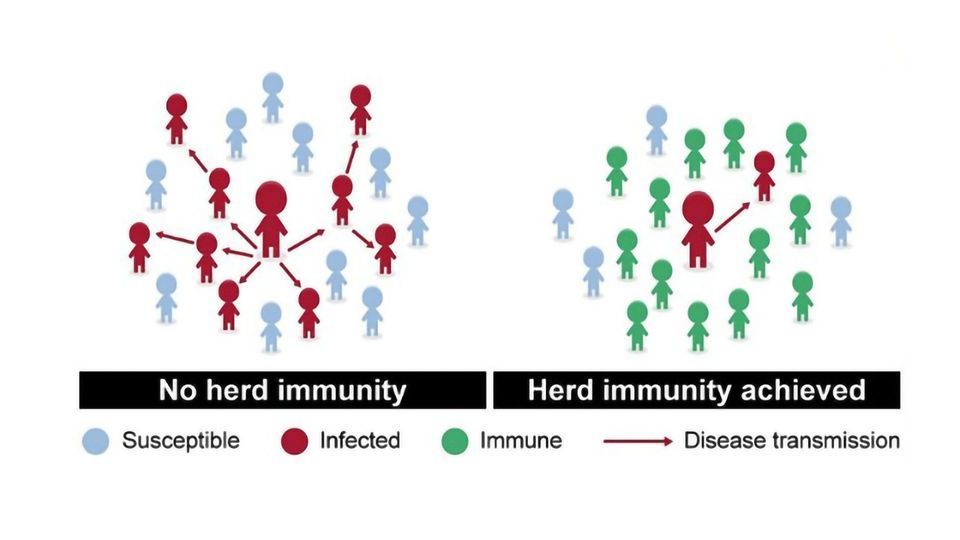 Herd Immunity Is a Dangerous Strategy for Tackling COVID-19 content piece image