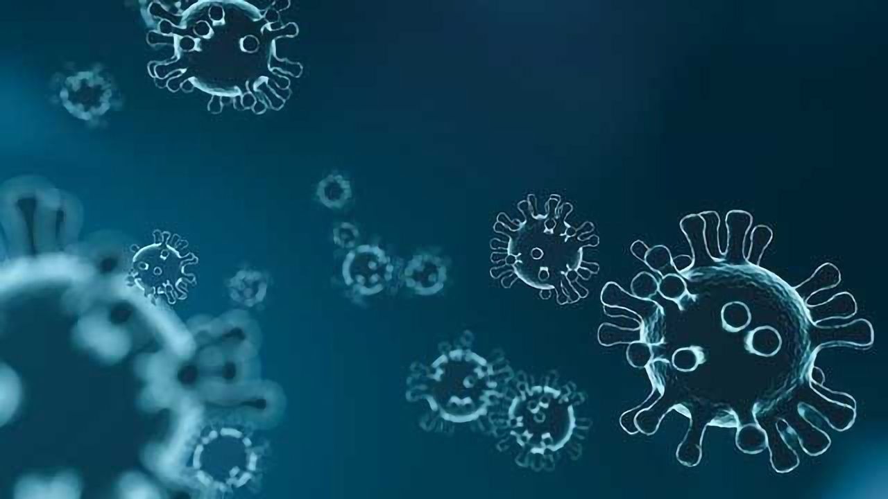 Antiviral Used To Treat Cat Coronavirus Inhibits Main Protease of SARS-CoV-2