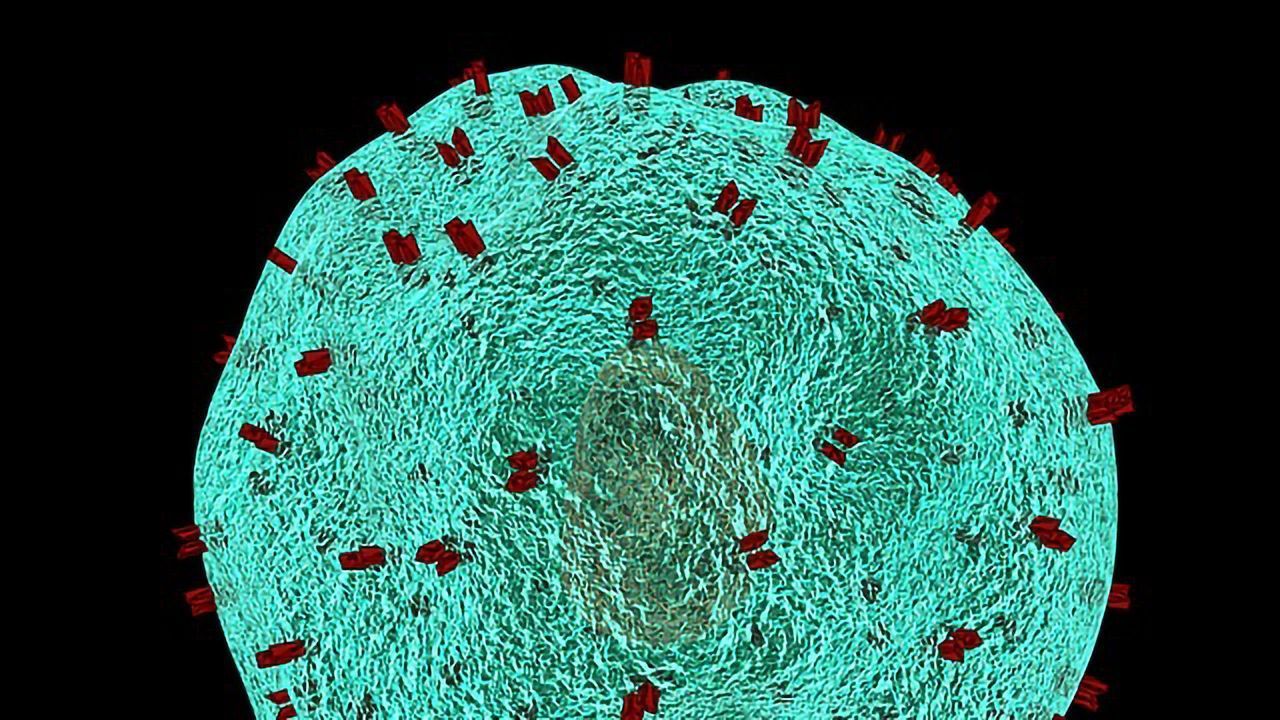 Tapping Into Information Locked in Our T Cells To Fight COVID-19