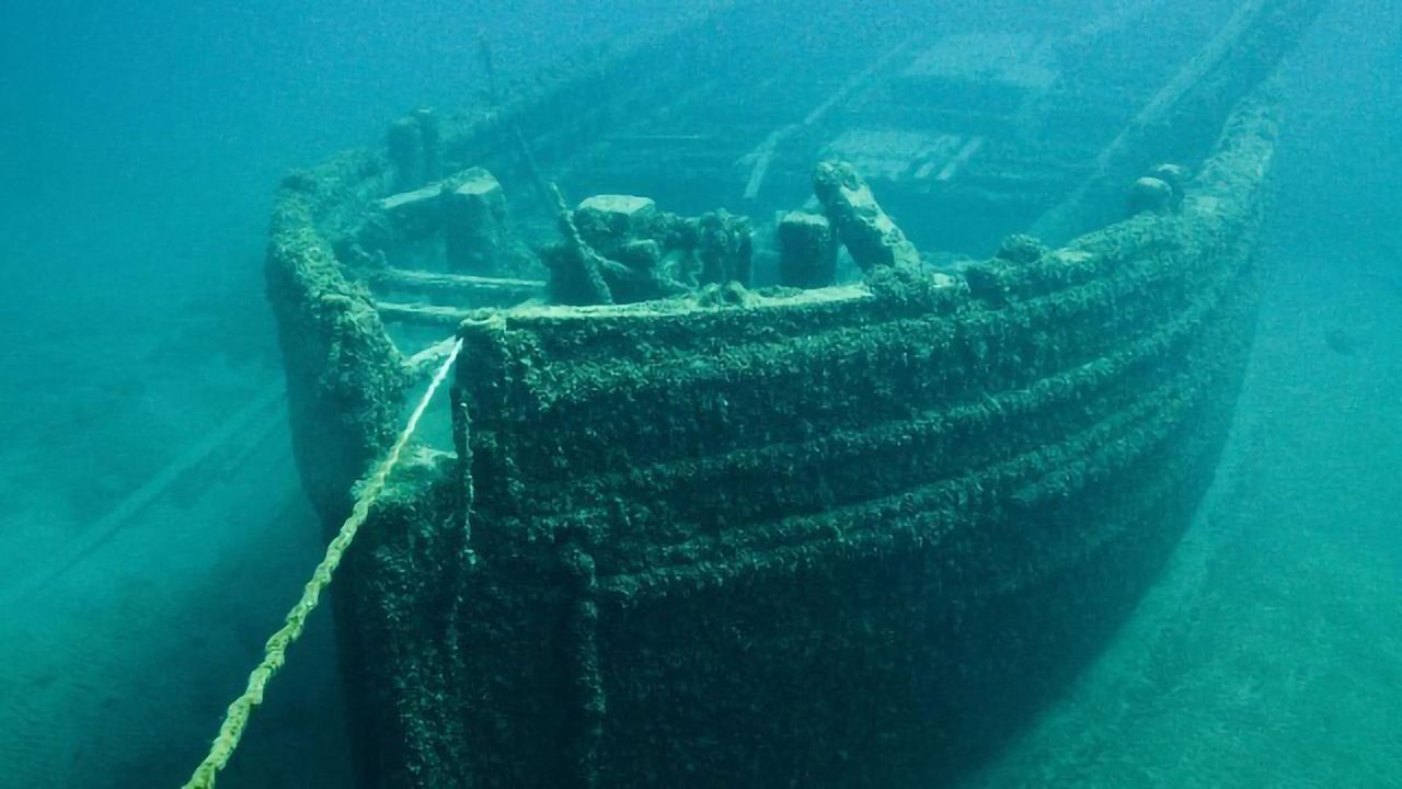A Genetic Approach To Tackling Marine Biofouling