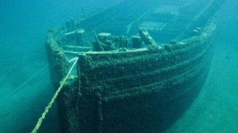 A Genetic Approach To Tackling Marine Biofouling