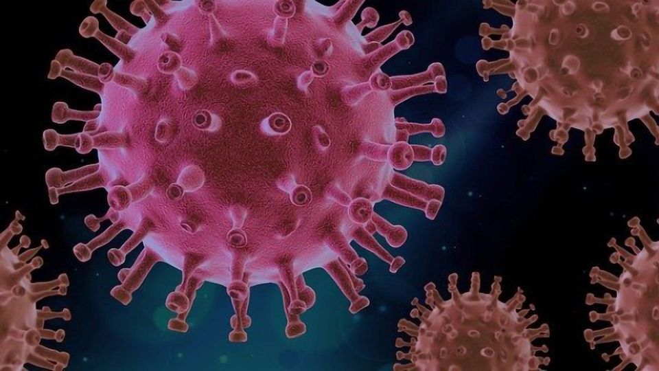 Studying Single Cells To Defeat Viruses content piece image
