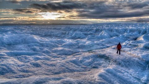 Viruses on Glaciers Challenge Assumptions About Evolution