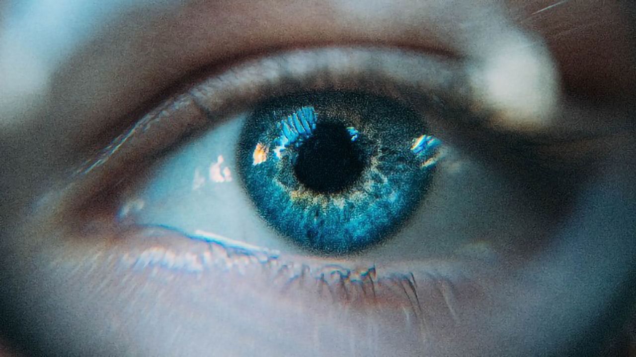 A New Target for Congenital Blindness Gene Therapy Is in Sight
