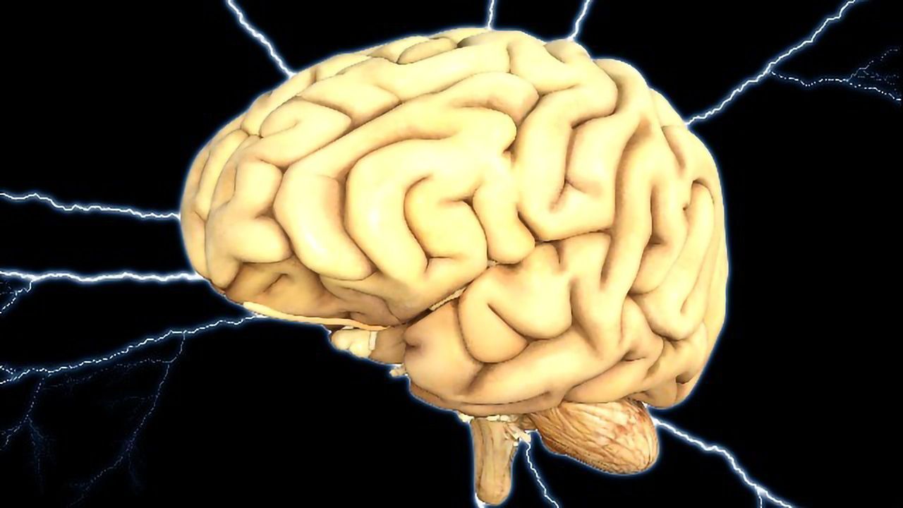 Bilingual Children May Lose Less Brain Matter as They Grow Up