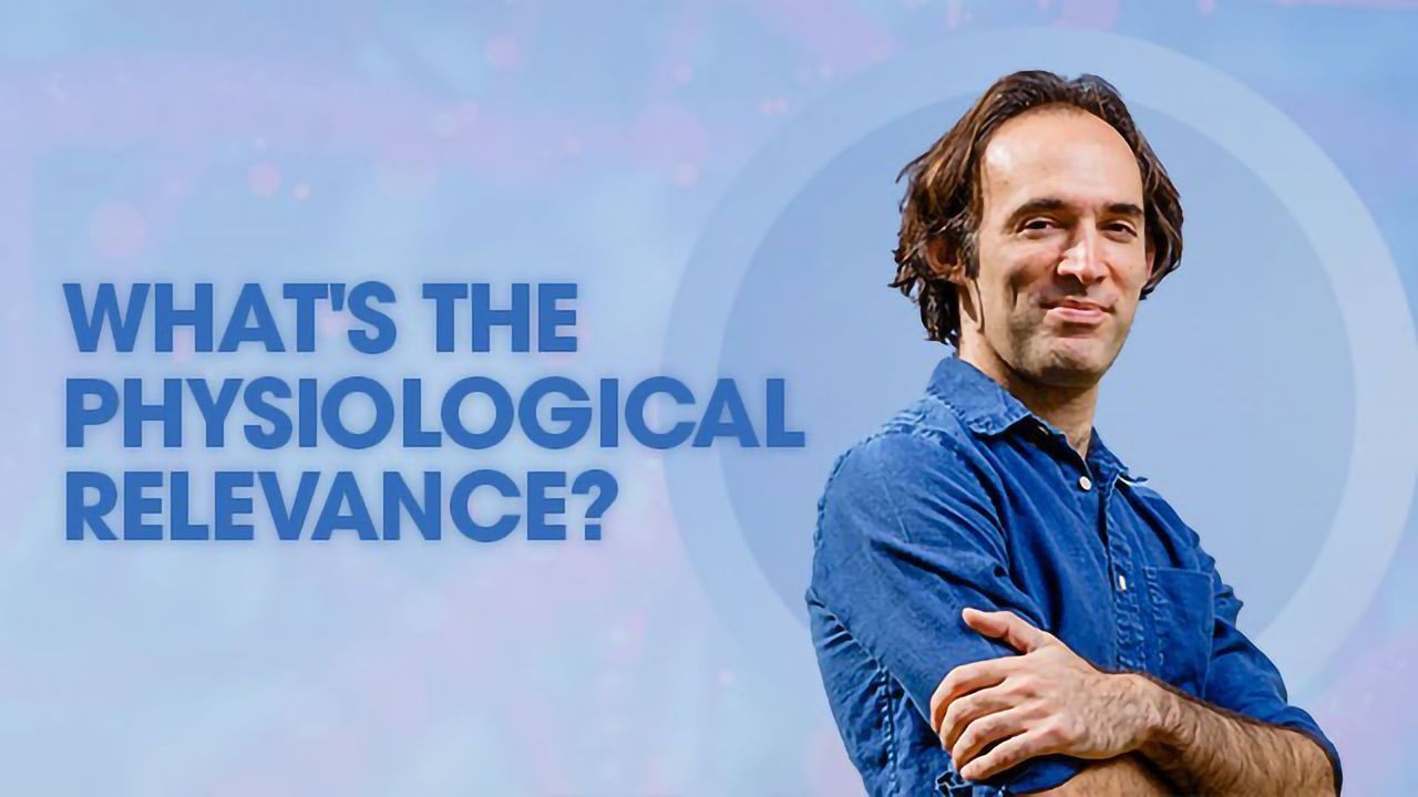 What's the Physiological Relevance? A Profile of Oded Rechavi