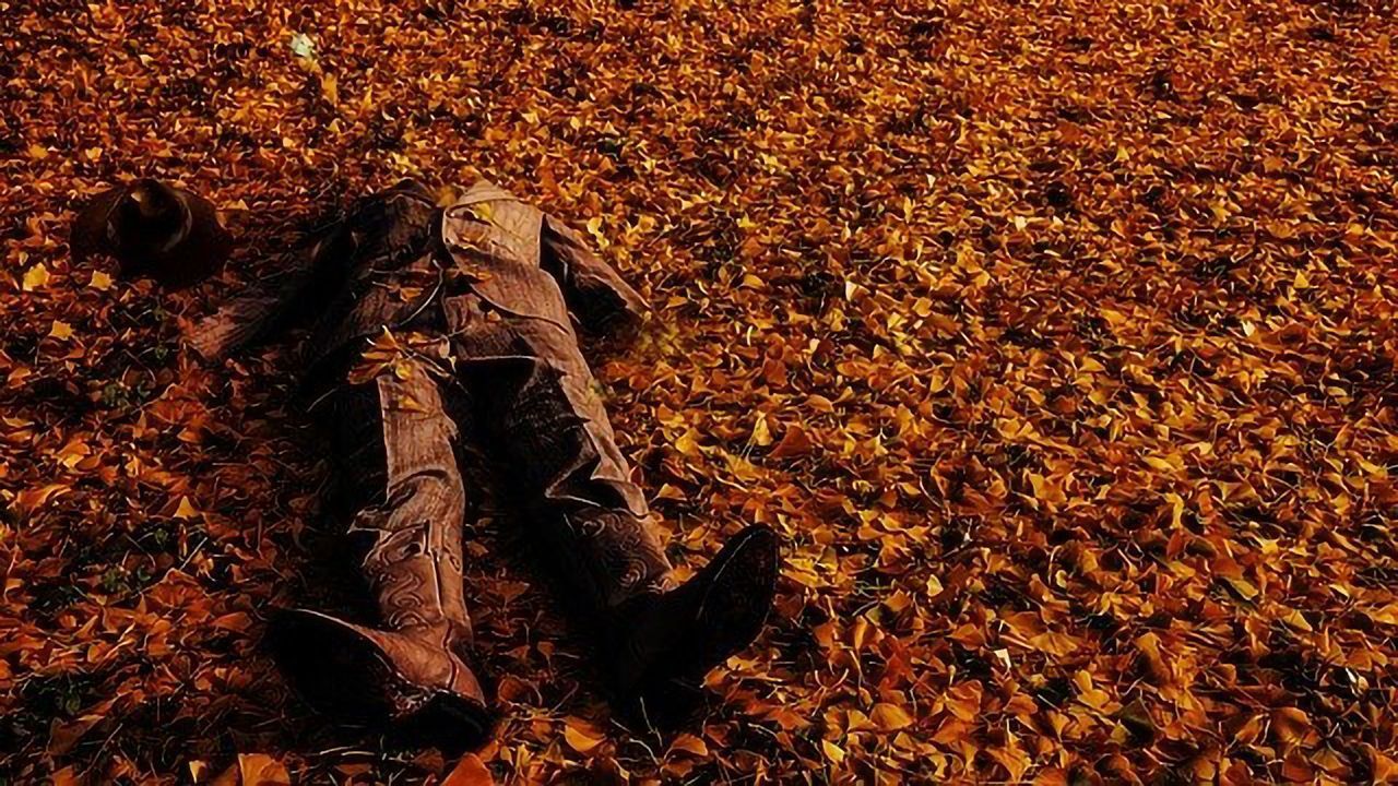 Can Plants Help Us Find Dead Bodies?