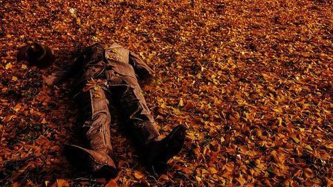 Can Plants Help Us Find Dead Bodies?
