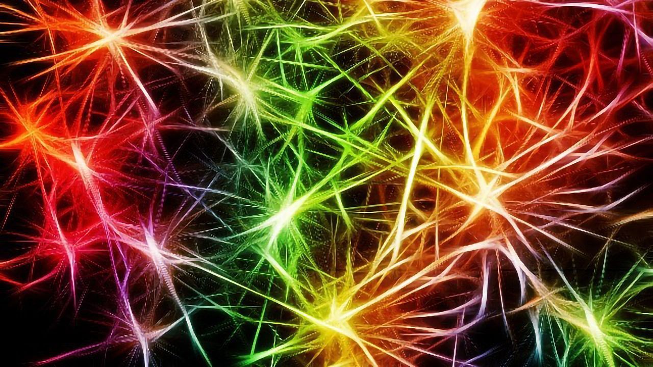 Holistic Bursting Cells Could Be Basis of Brain Cognition