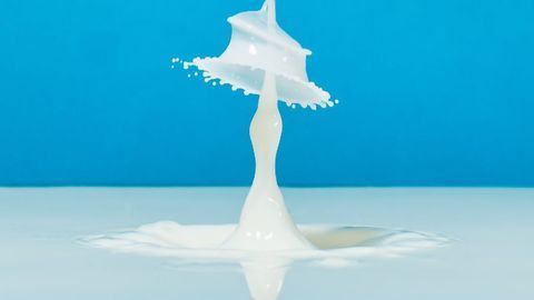 Ability To Digest Milk Spread “Quickly” Through Europe