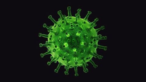 Persistent T Cell Immune Memory in Recovered COVID-19 Patients