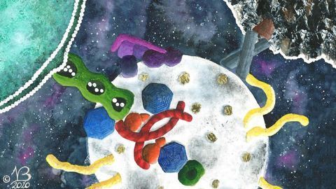 Autophagy: The Beginning of the End