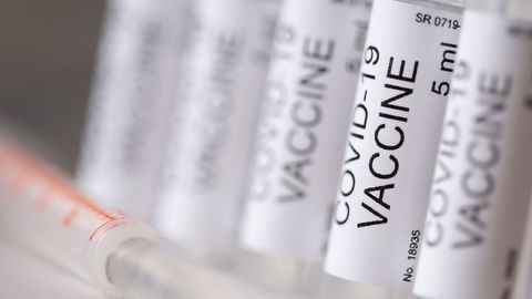 Vaccine Shows Protection Against SARS-CoV-2 in Animals