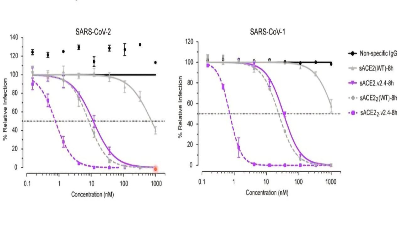 Teach Me in 10 – Engineering a Decoy Receptor for SARS-CoV-2 With Dr Erik Procko, Part II