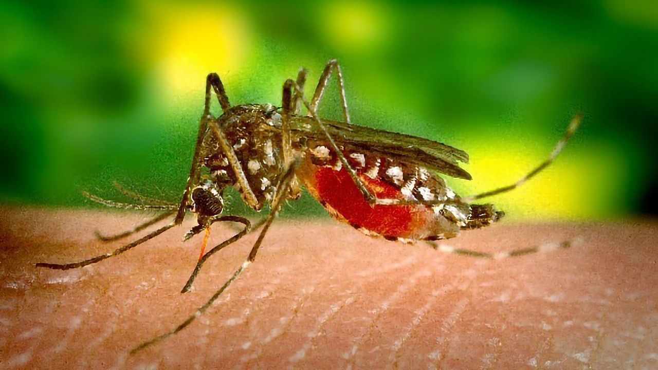 Lab-on-Paper Strip: Small, Inexpensive Platform for Diagnosing Tropical Fevers