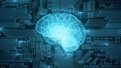 New Funding Boost for AI-Based Epilepsy Monitoring Platform